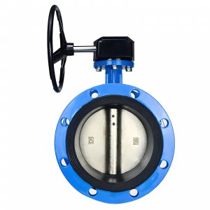 法蘭式蝸輪蝸桿蝶閥DN40，1.6Mpa（橡膠密封